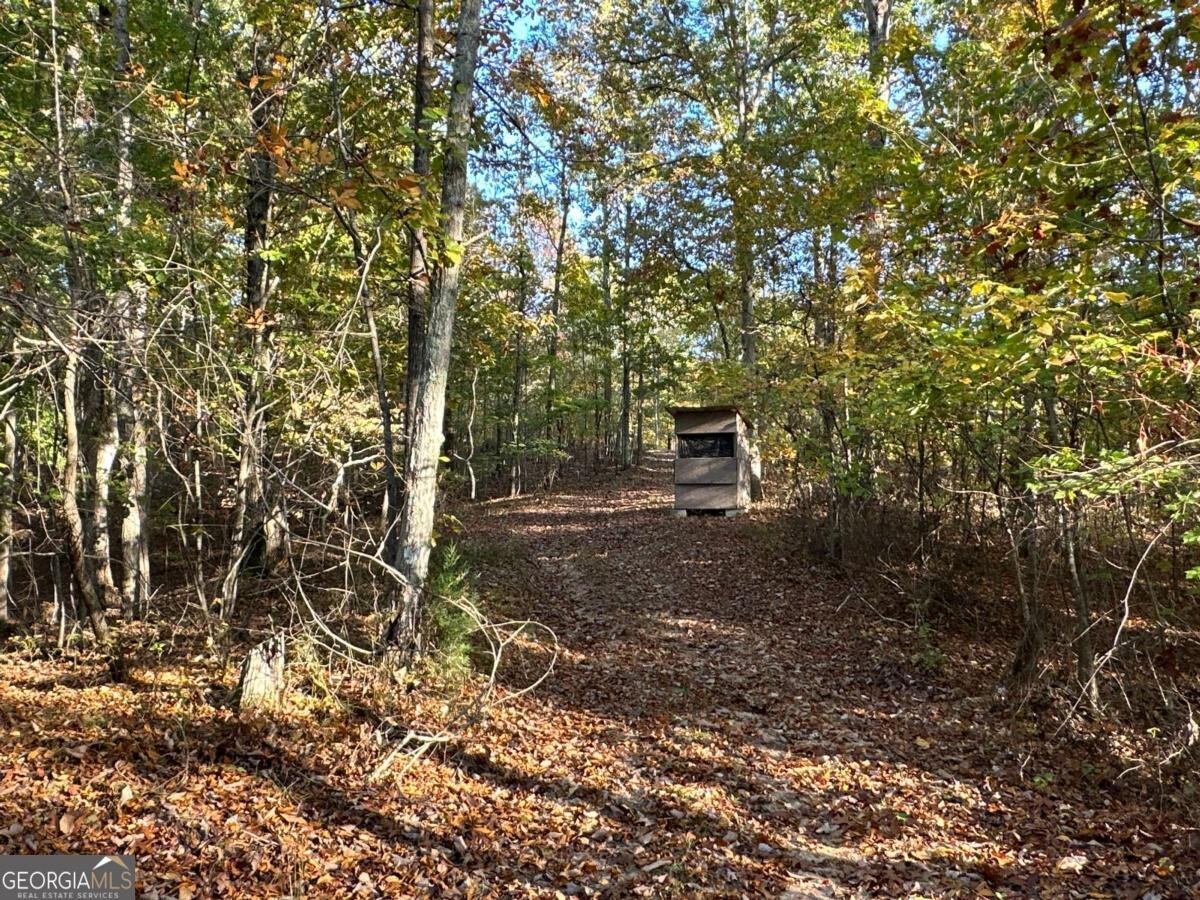 Land for Sale in Polk County, GA (58 of 88)