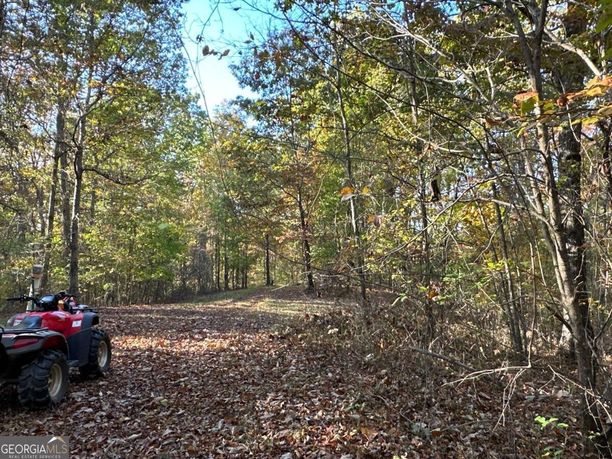 Land for Sale in Polk County, GA (59 of 88)