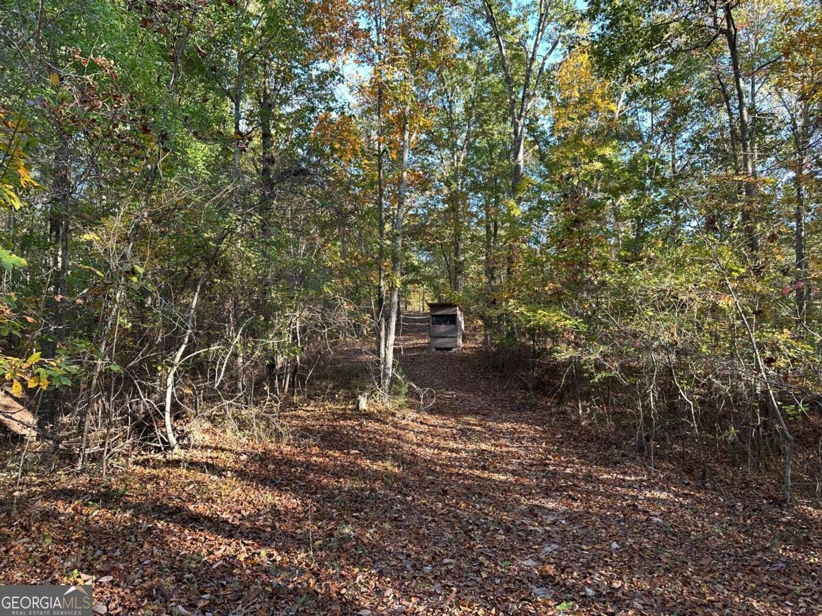 Land for Sale in Polk County, GA (61 of 88)