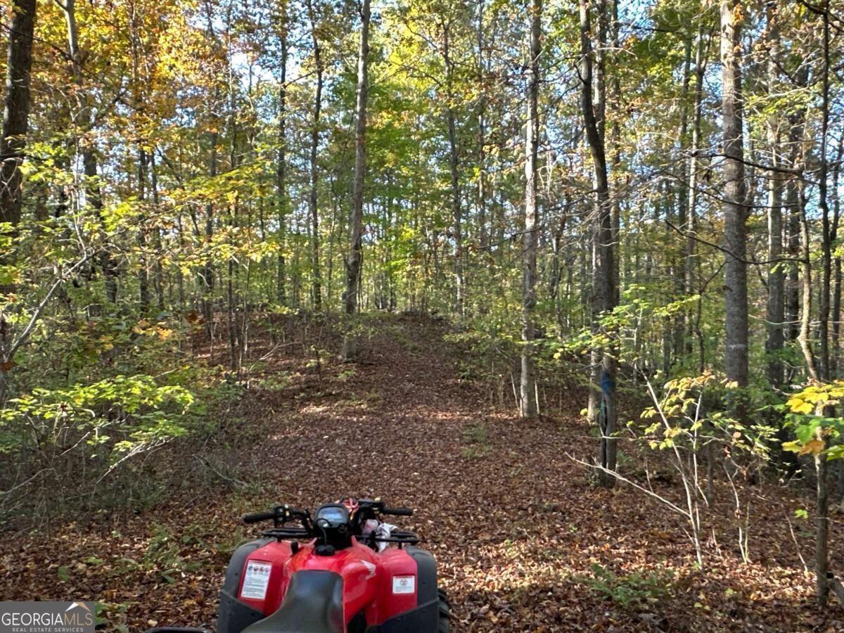 Land for Sale in Polk County, GA (62 of 88)