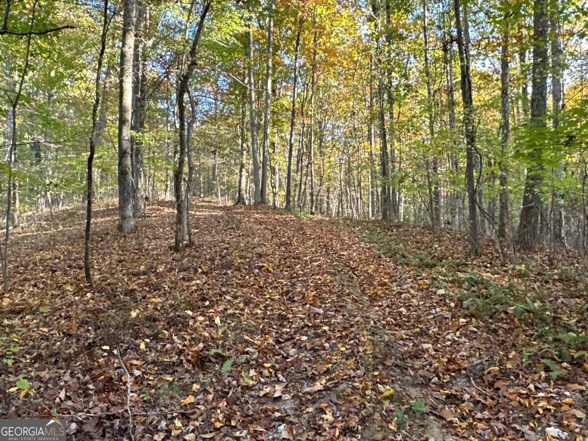Land for Sale in Polk County, GA (63 of 88)