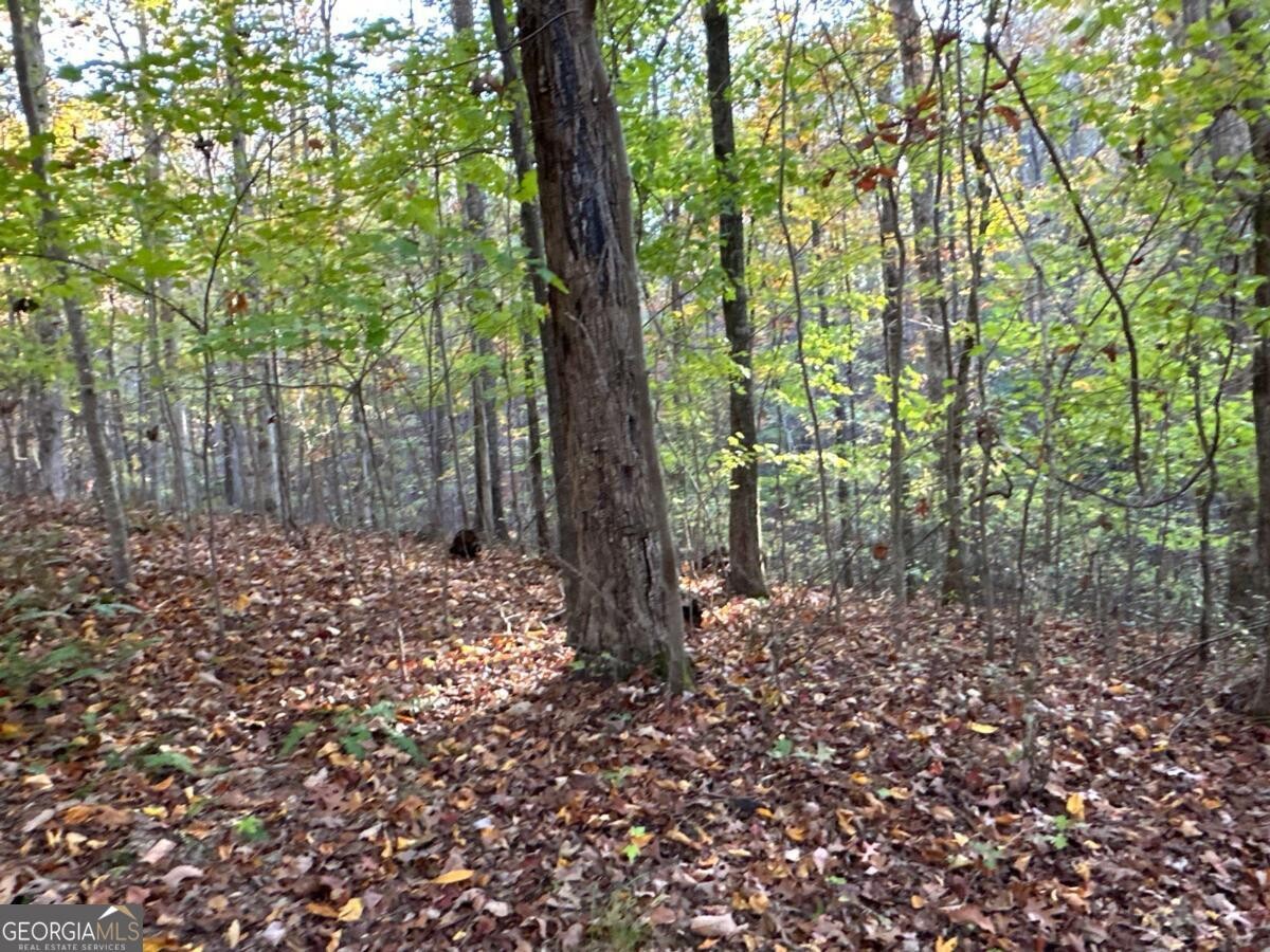 Land for Sale in Polk County, GA (64 of 88)