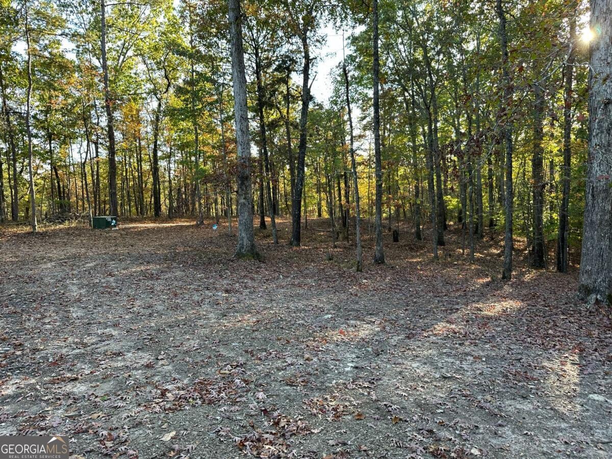 Land for Sale in Polk County, GA (66 of 88)