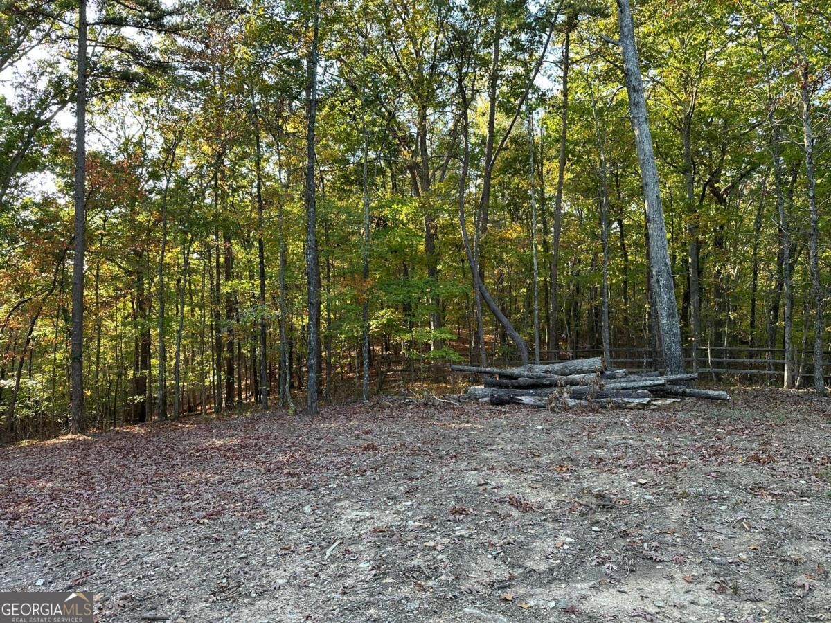 Land for Sale in Polk County, GA (67 of 88)