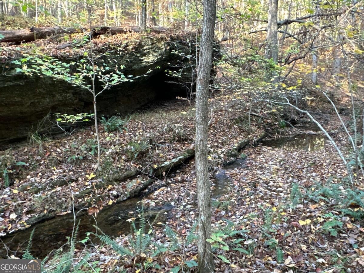 Land for Sale in Polk County, GA (68 of 88)