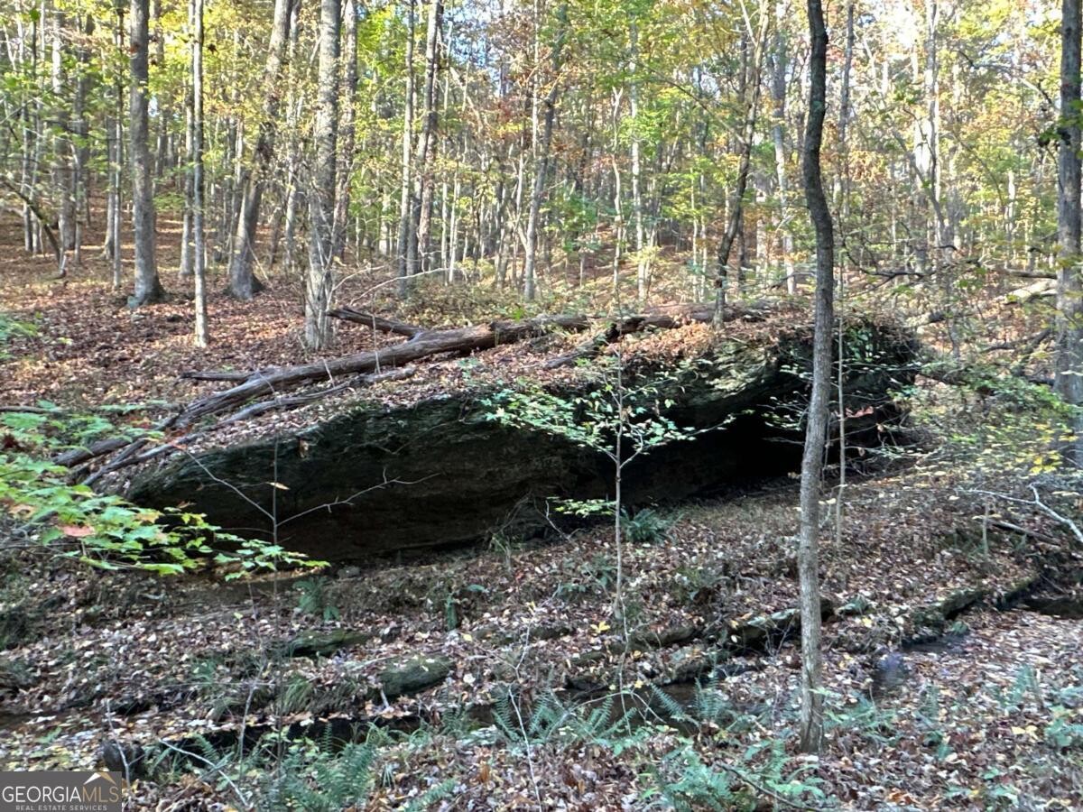 Land for Sale in Polk County, GA (69 of 88)