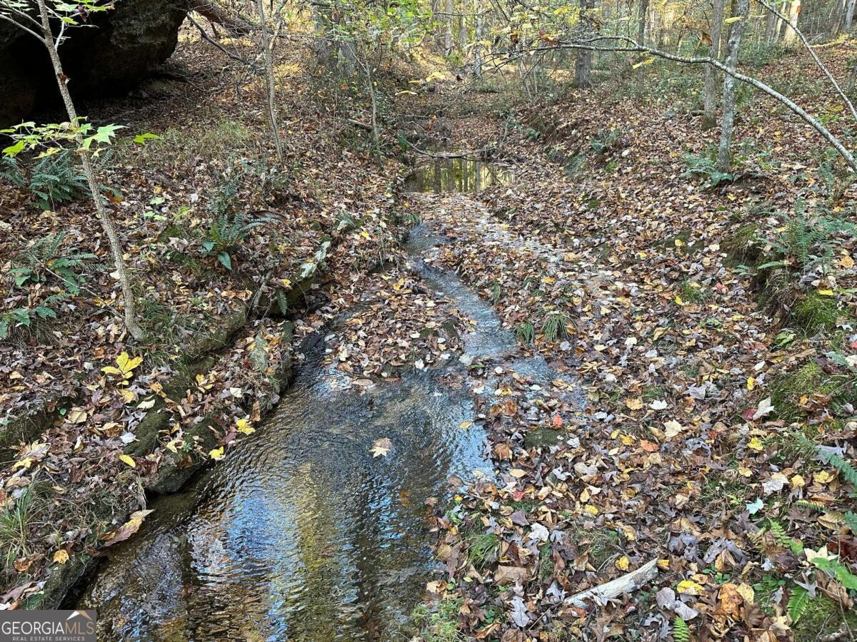 Land for Sale in Polk County, GA (71 of 88)