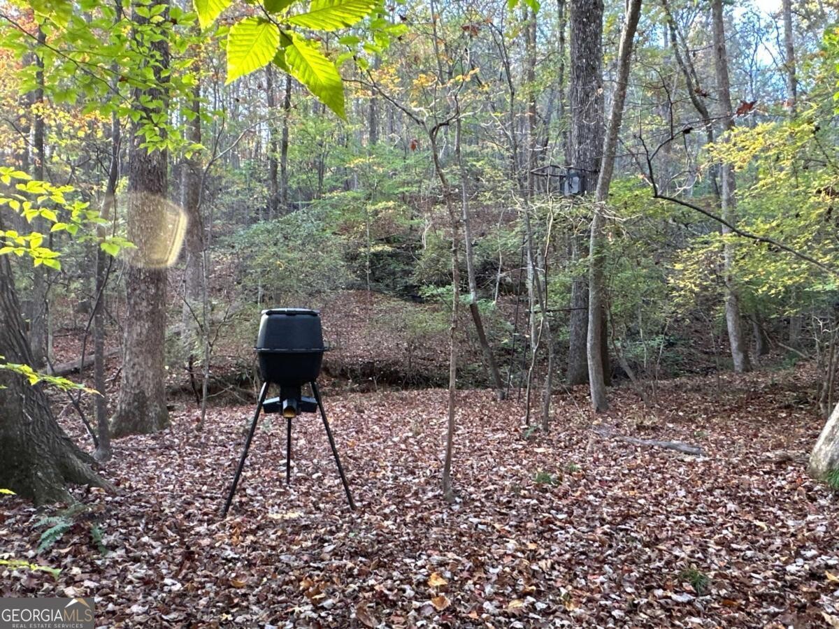 Land for Sale in Polk County, GA (72 of 88)