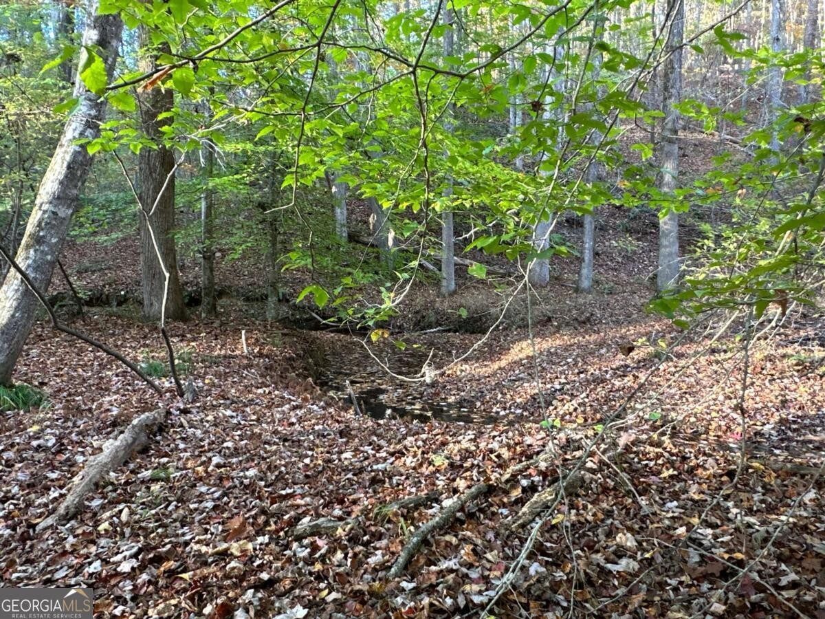 Land for Sale in Polk County, GA (74 of 88)
