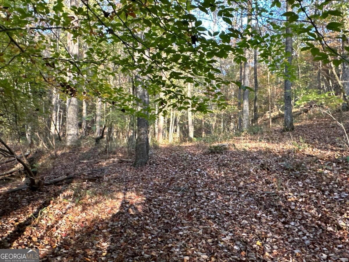 Land for Sale in Polk County, GA (75 of 88)