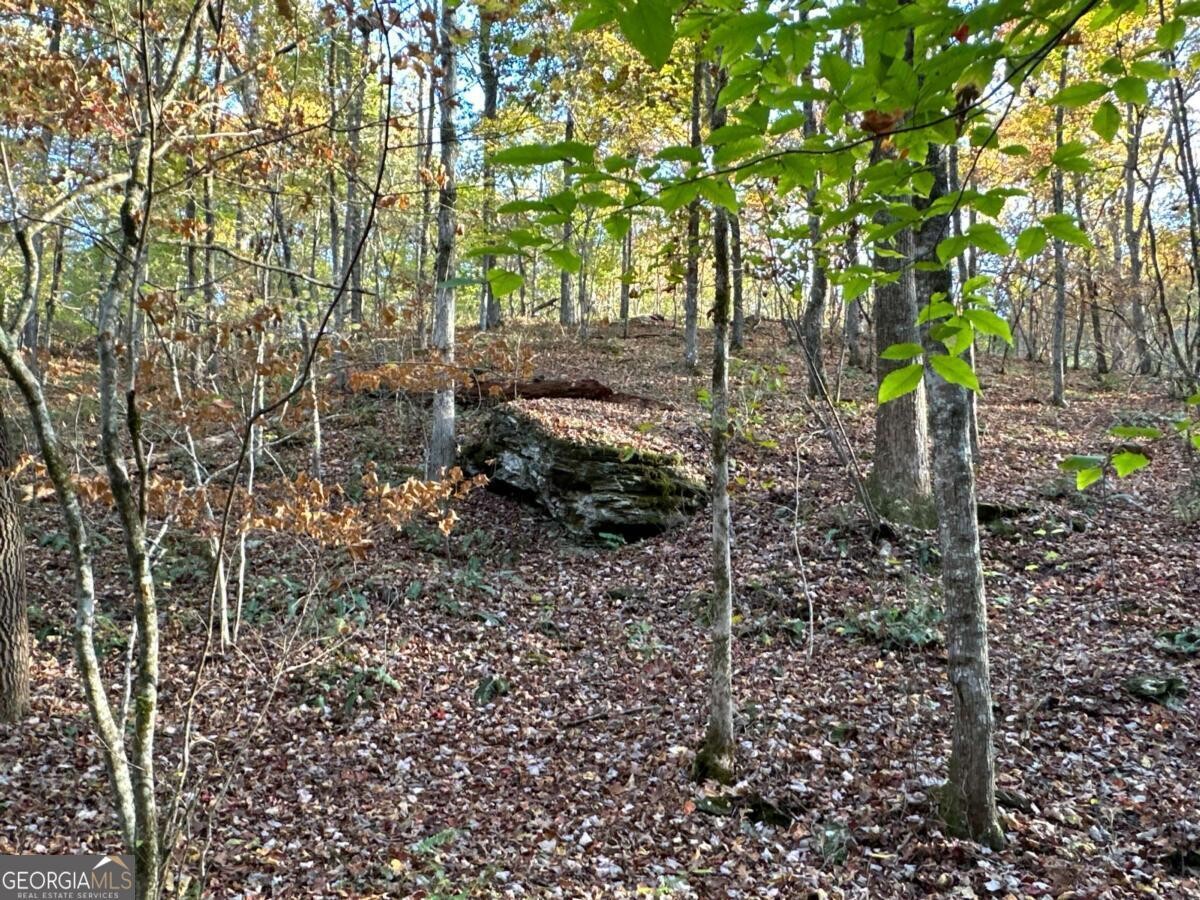 Land for Sale in Polk County, GA (76 of 88)