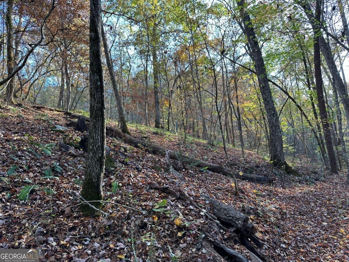 Land for Sale in Polk County, GA (77 of 88)