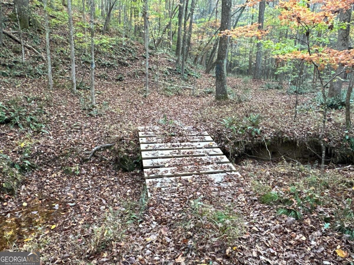 Land for Sale in Polk County, GA (79 of 88)