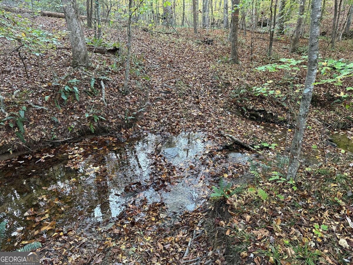 Land for Sale in Polk County, GA (80 of 88)