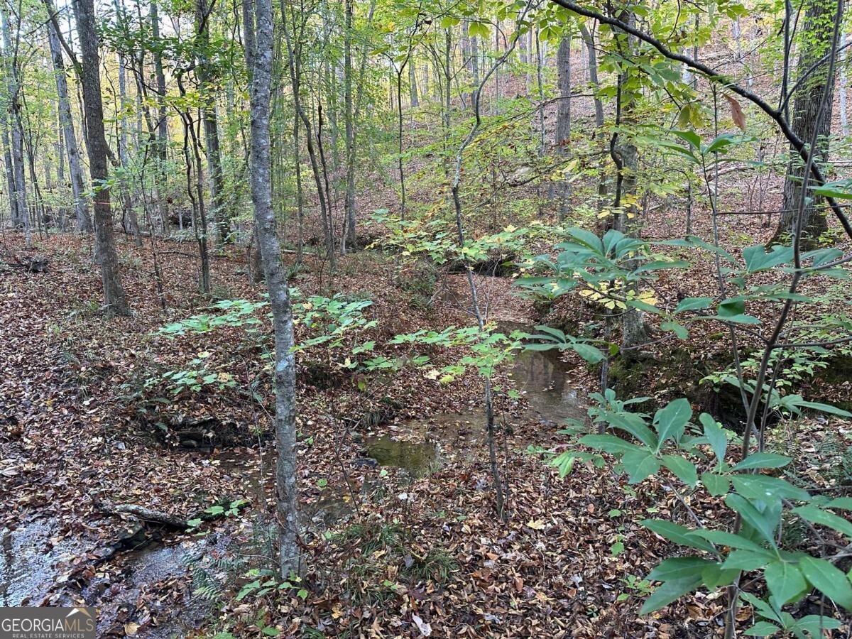 Land for Sale in Polk County, GA (81 of 88)
