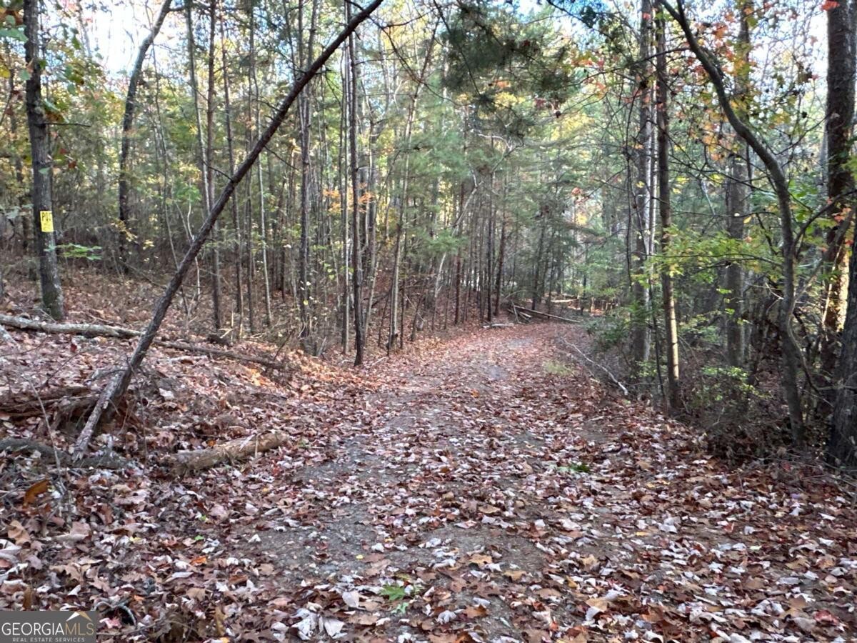 Land for Sale in Polk County, GA (82 of 88)