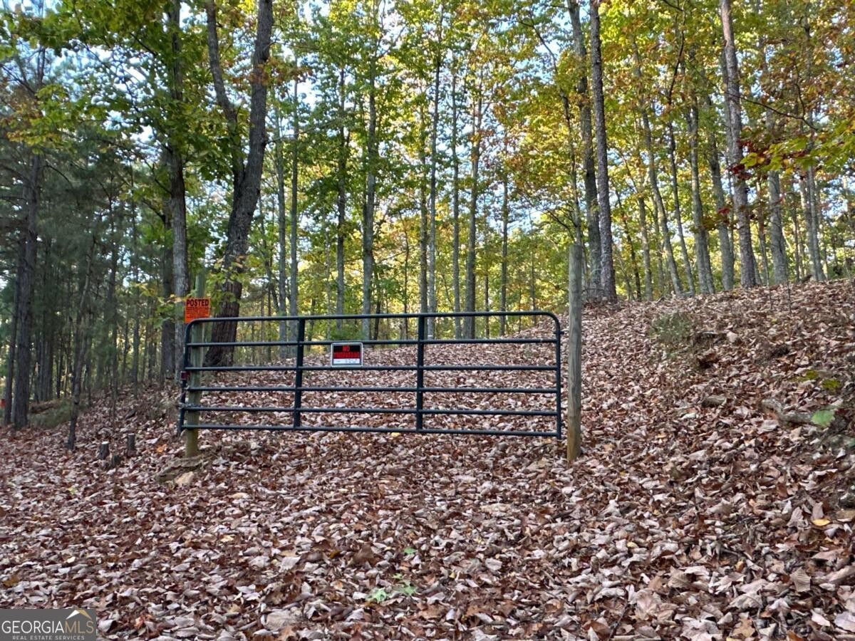 Land for Sale in Polk County, GA (83 of 88)