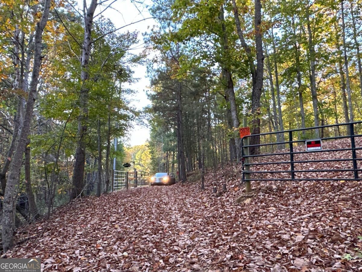 Land for Sale in Polk County, GA (84 of 88)
