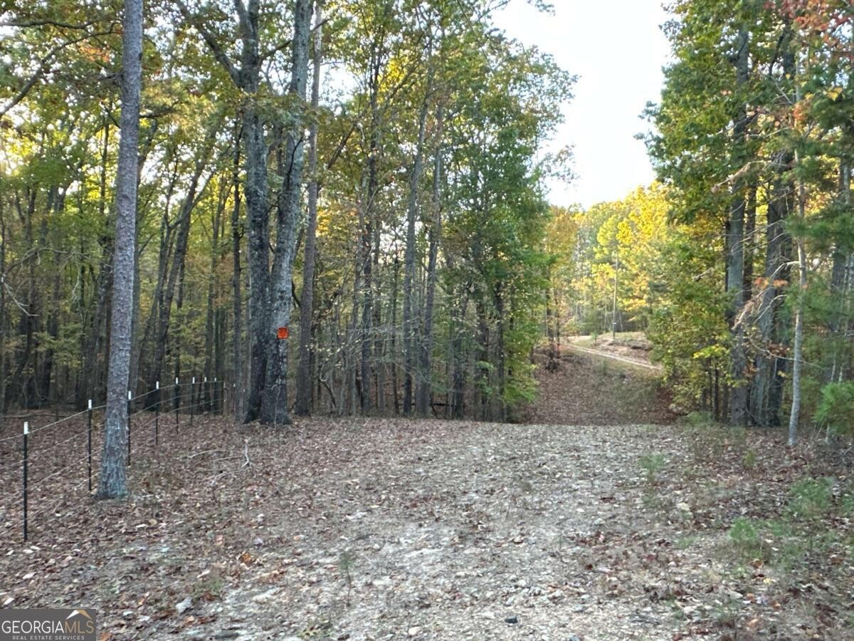 Land for Sale in Polk County, GA (85 of 88)