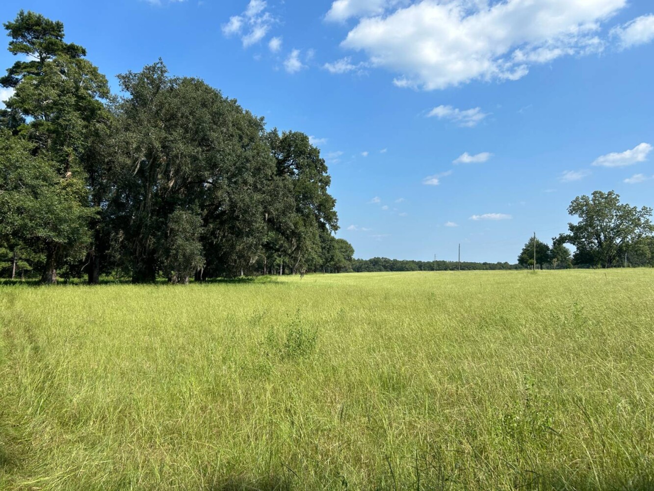 Land for Sale in Okaloosa County, FL (28 of 86)
