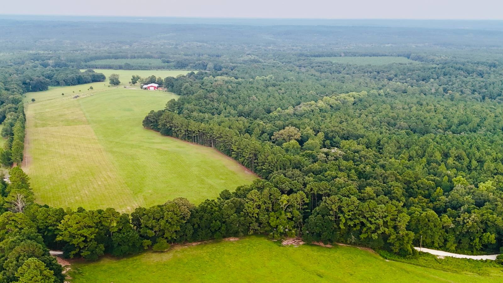 Land for Sale in Okaloosa County, FL (30 of 86)