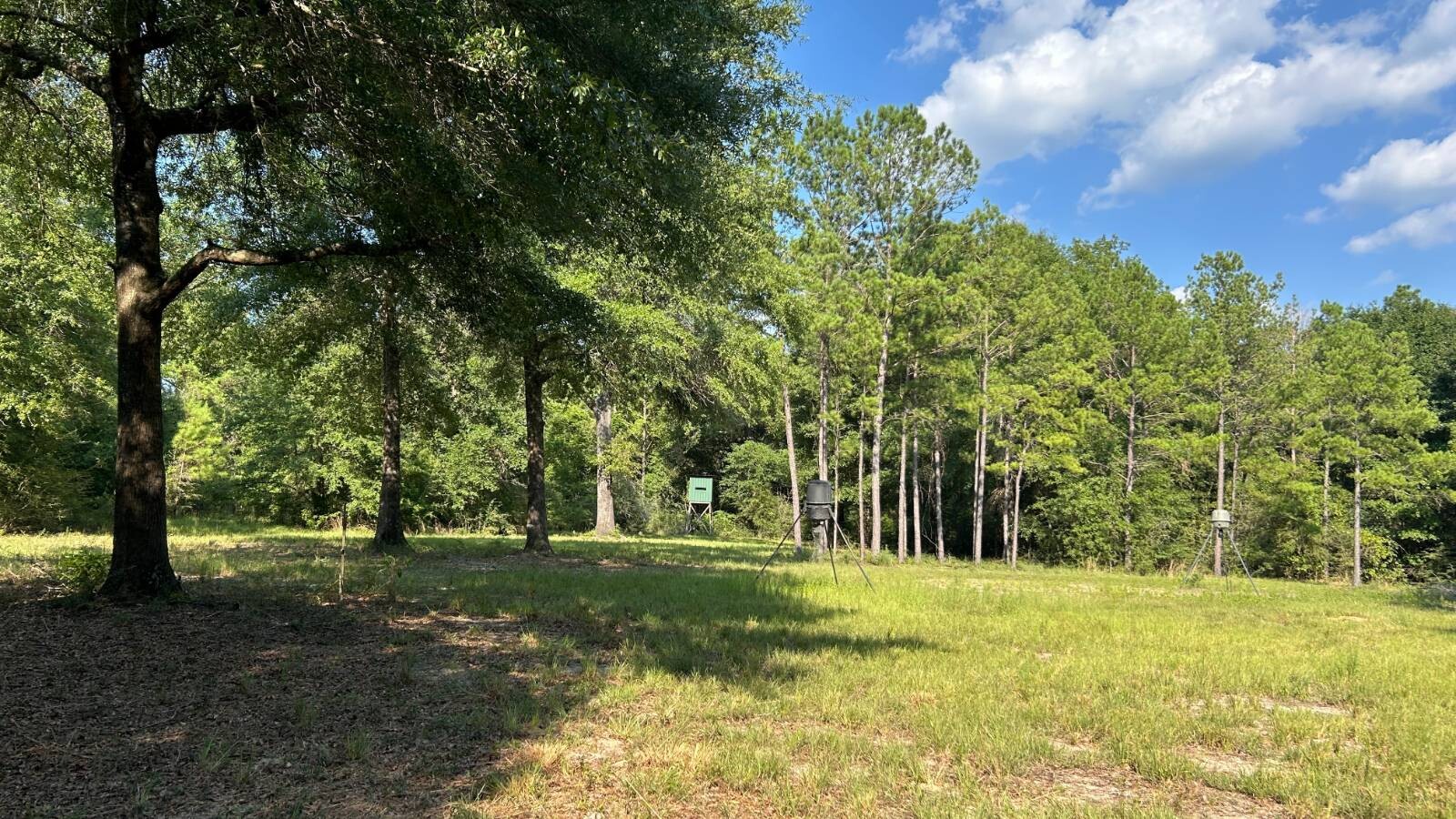 Land for Sale in Okaloosa County, FL (37 of 86)