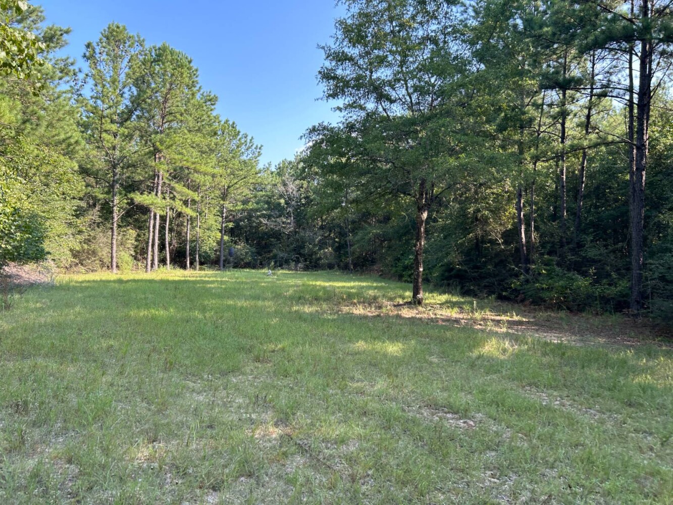 Land for Sale in Okaloosa County, FL (38 of 86)