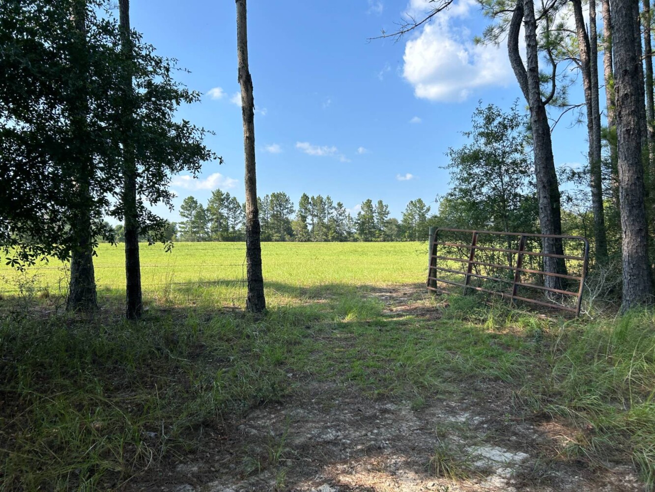 Land for Sale in Okaloosa County, FL (40 of 86)