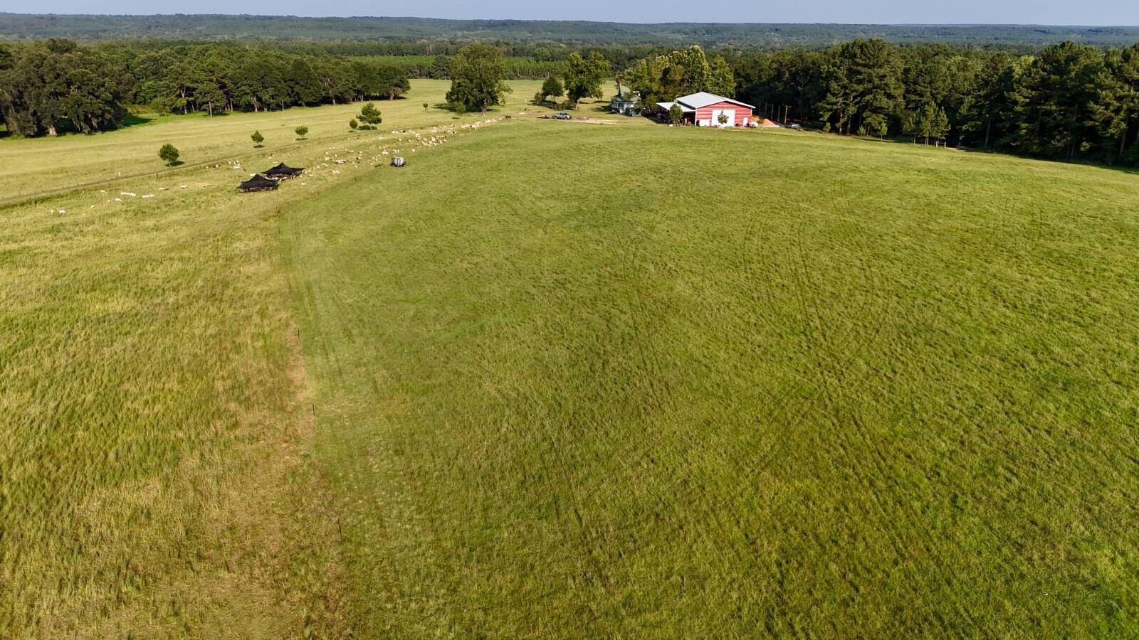 Land for Sale in Okaloosa County, FL (43 of 86)