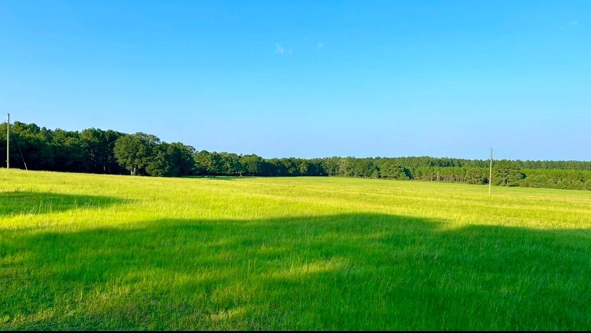 Land for Sale in Okaloosa County, FL (56 of 86)