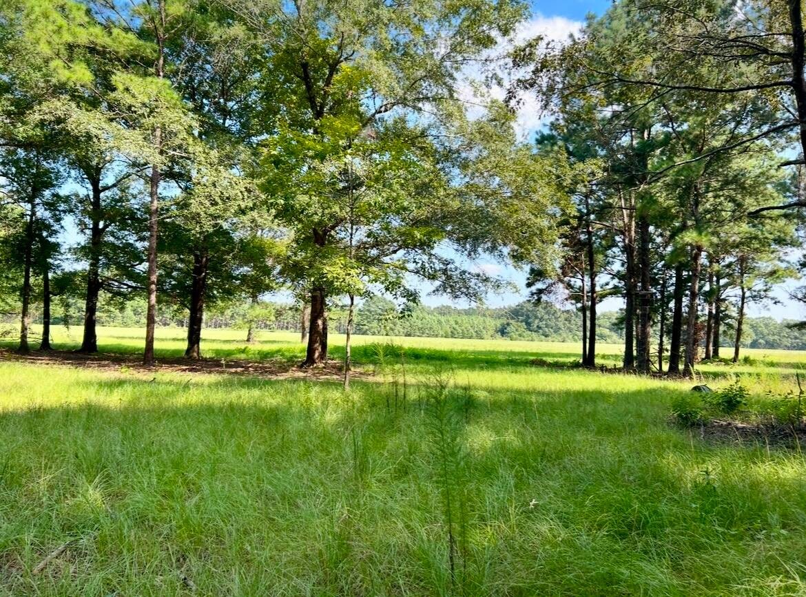 Land for Sale in Okaloosa County, FL (62 of 86)