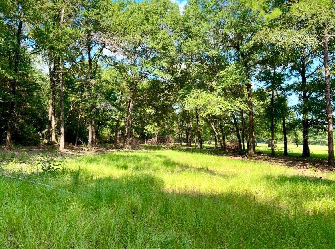 Land for Sale in Okaloosa County, FL (63 of 86)