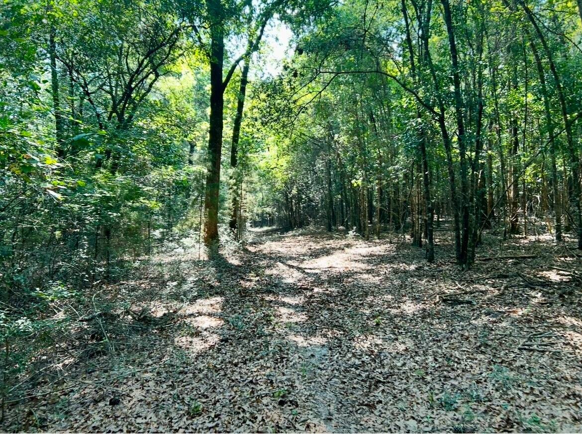 Land for Sale in Okaloosa County, FL (64 of 86)