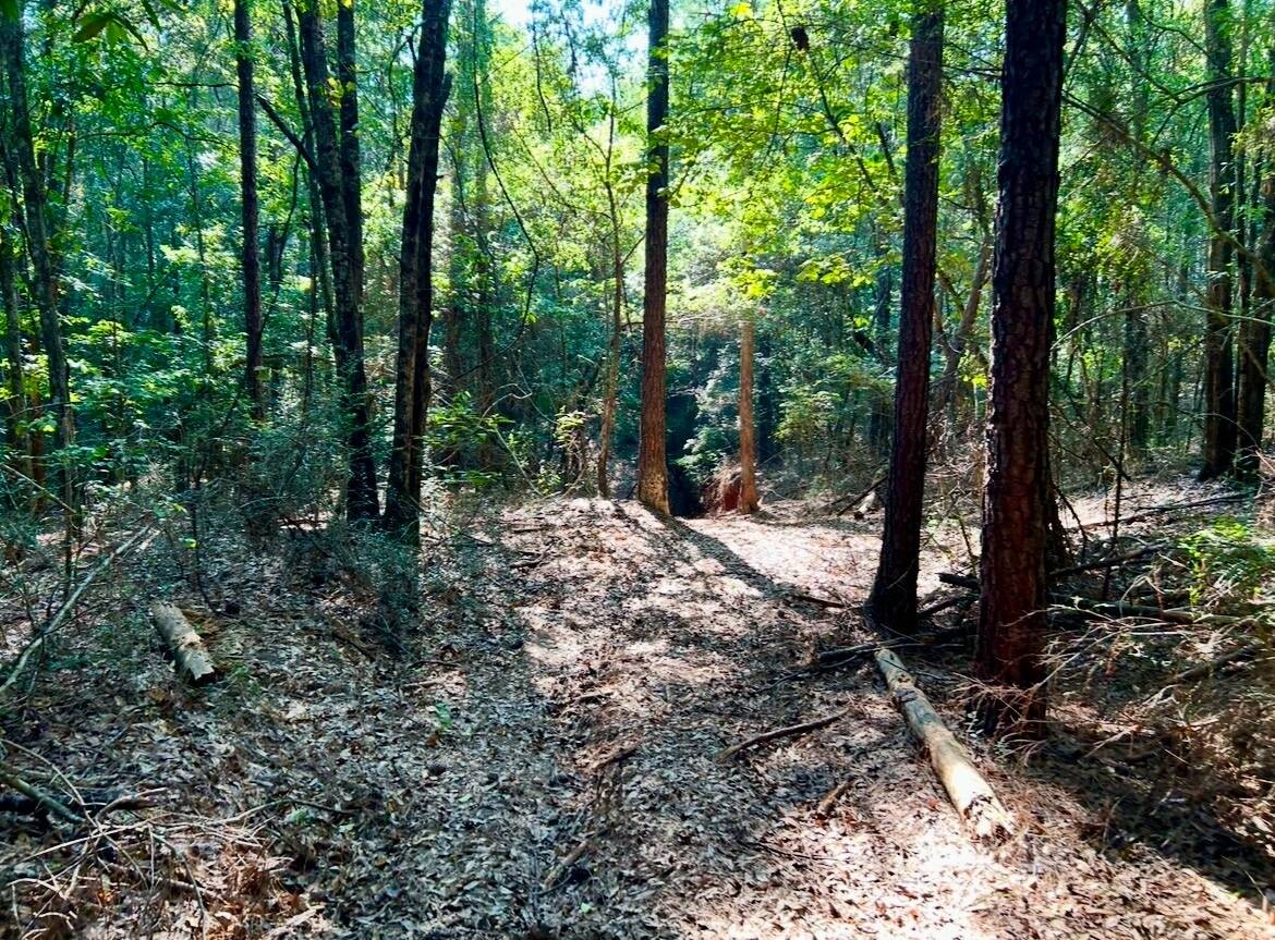 Land for Sale in Okaloosa County, FL (66 of 86)