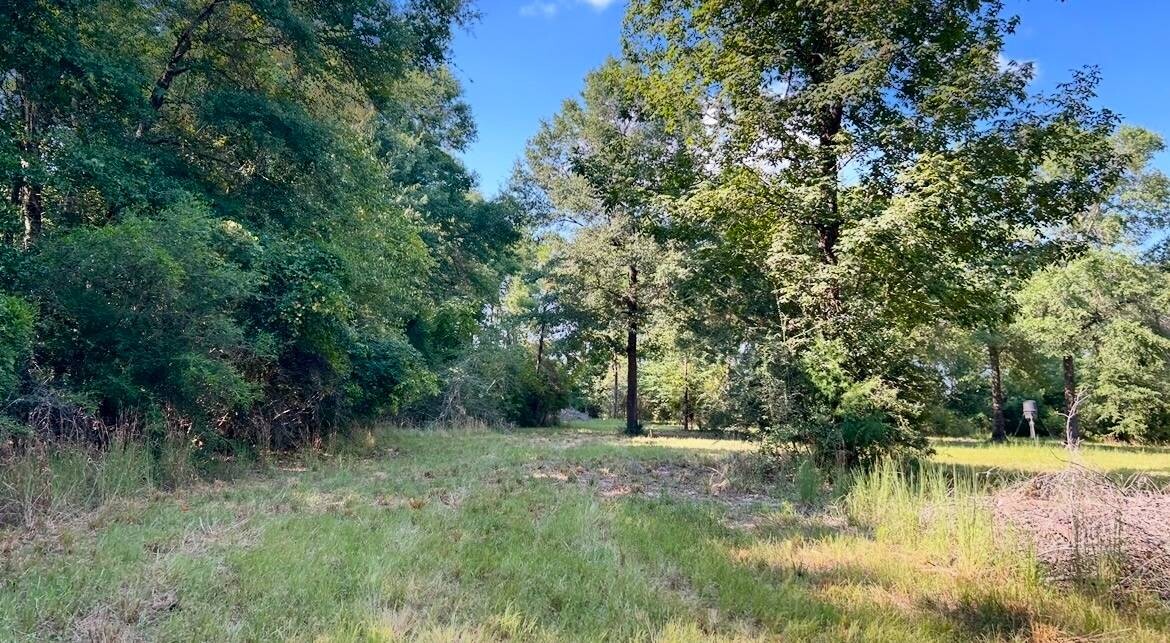 Land for Sale in Okaloosa County, FL (67 of 86)