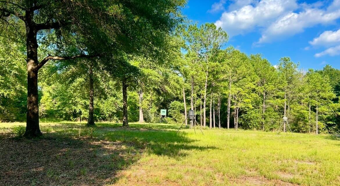 Land for Sale in Okaloosa County, FL (69 of 86)