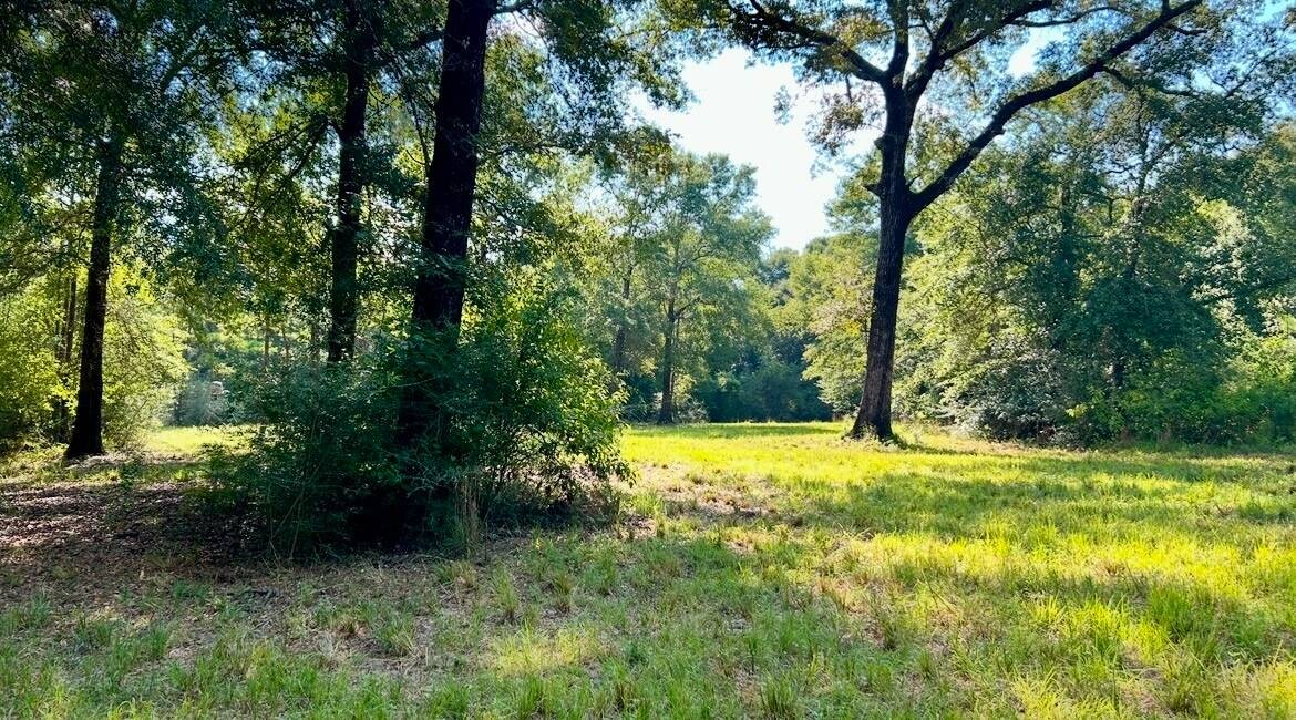 Land for Sale in Okaloosa County, FL (70 of 86)