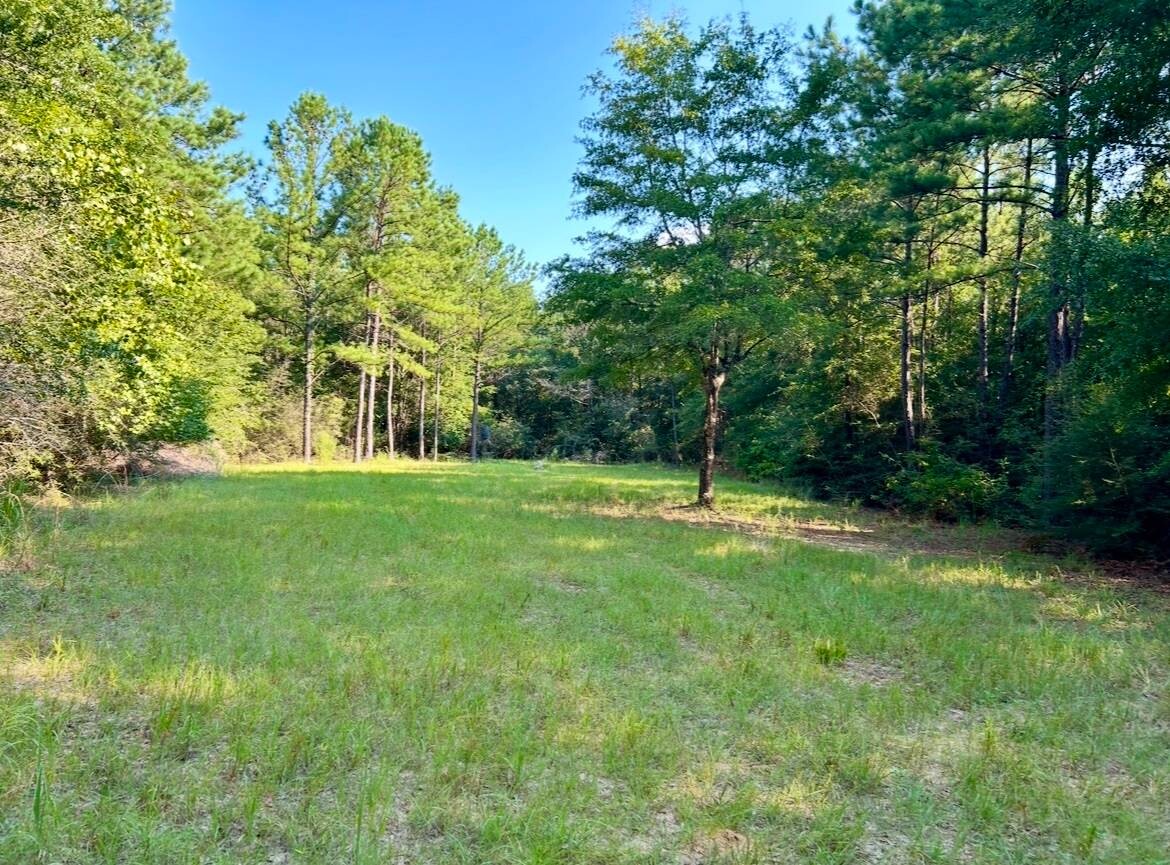 Land for Sale in Okaloosa County, FL (73 of 86)
