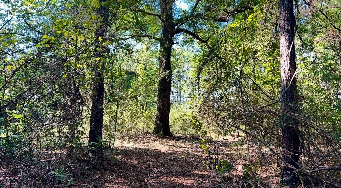 Land for Sale in Okaloosa County, FL (75 of 86)