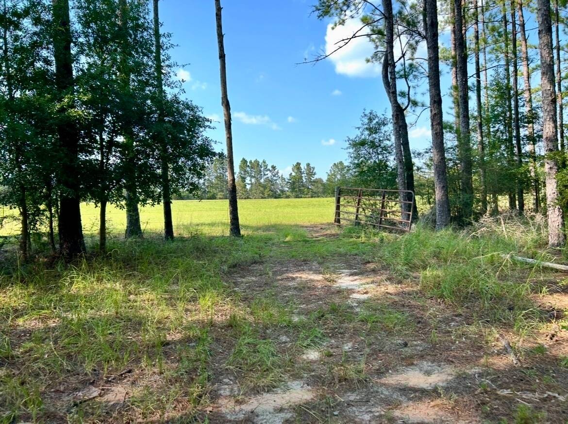 Land for Sale in Okaloosa County, FL (76 of 86)