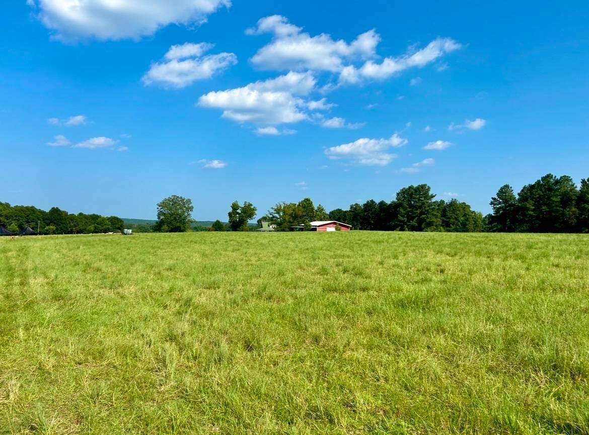 Land for Sale in Okaloosa County, FL (79 of 86)