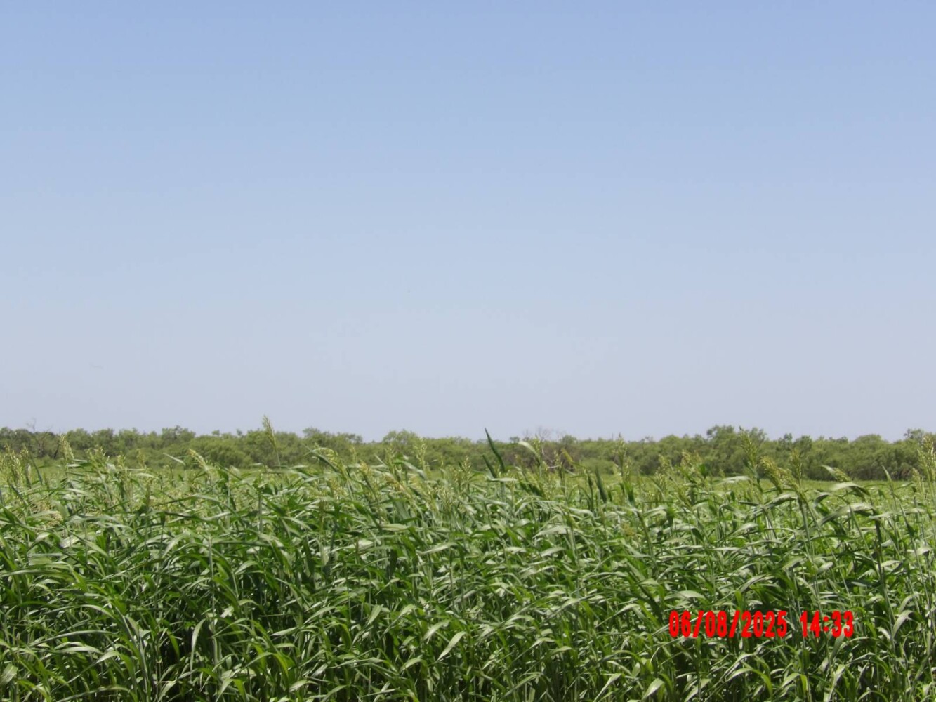Land for Sale in Runnels County, TX (43 of 65)