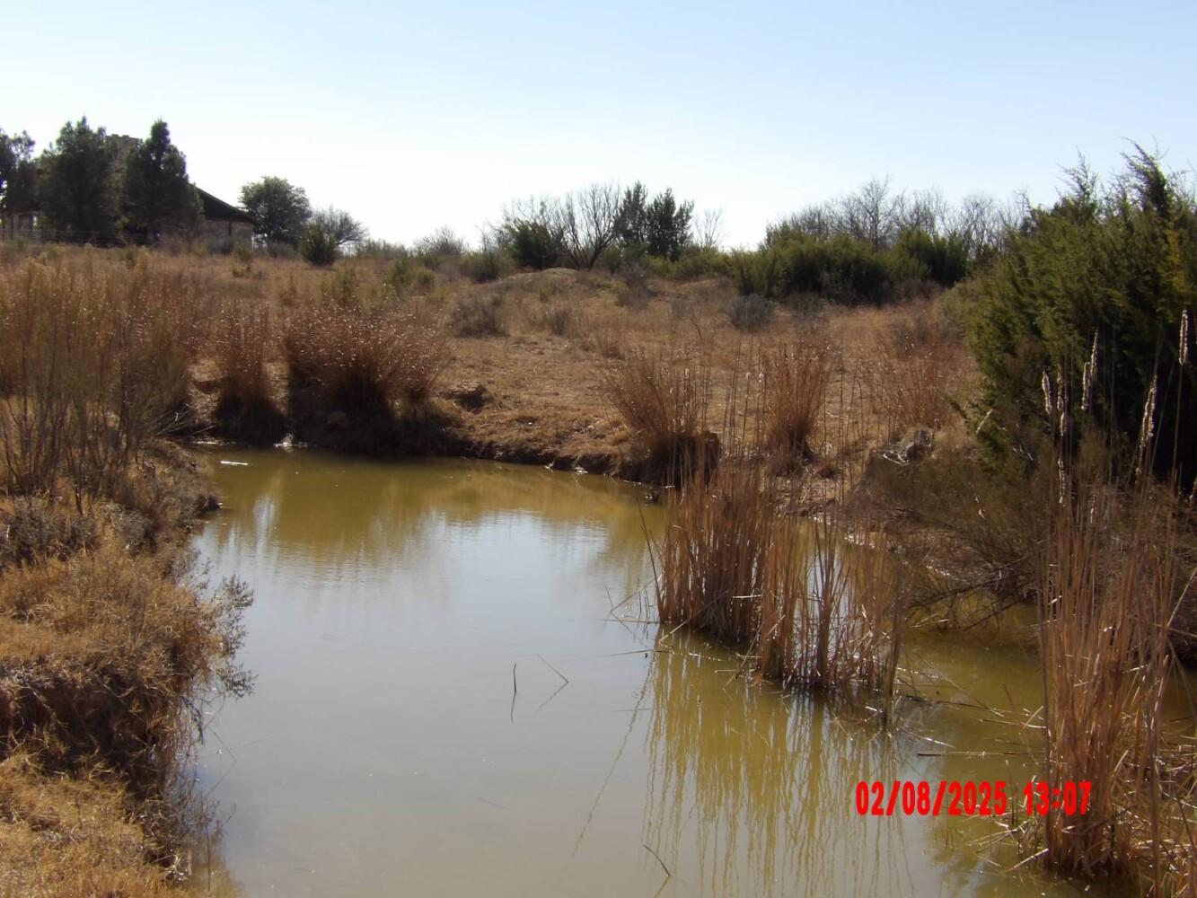 Land for Sale in Runnels County, TX (51 of 65)