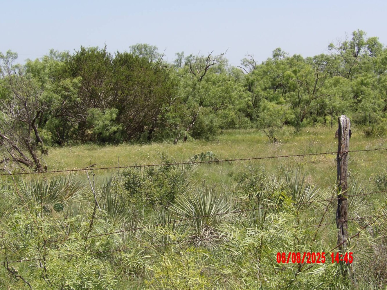 Land for Sale in Runnels County, TX (64 of 65)