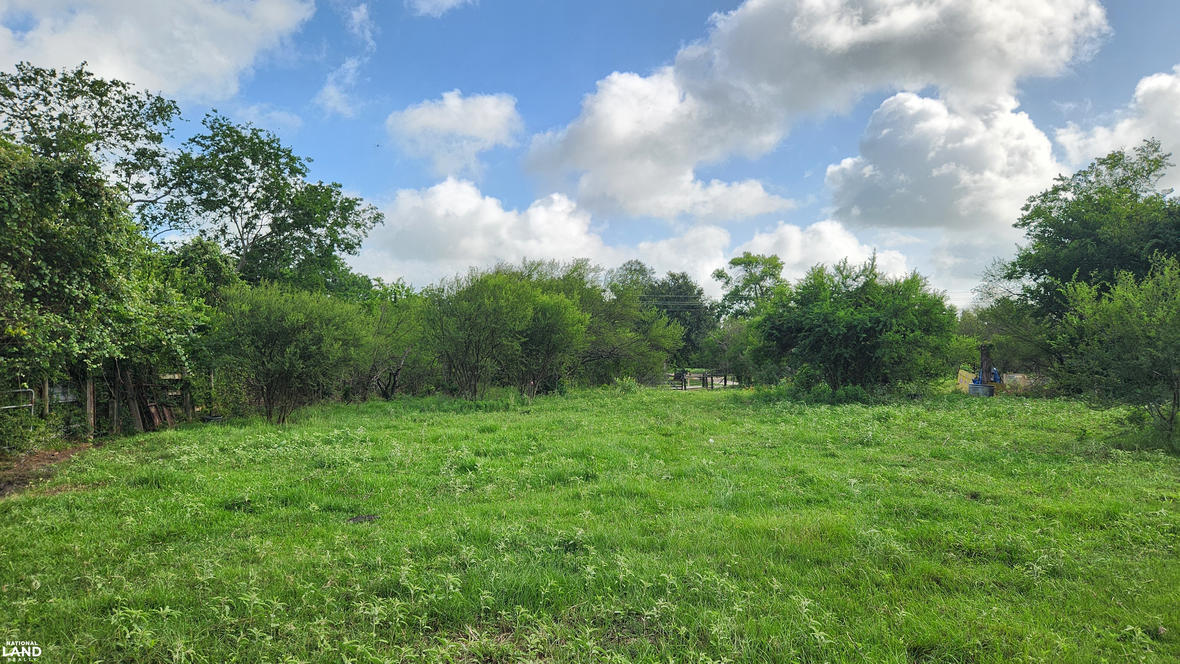 Secluded Unrestricted 55 +/- Acre Paradise in Waller County Texas in Waller County, TX (11 of 25)