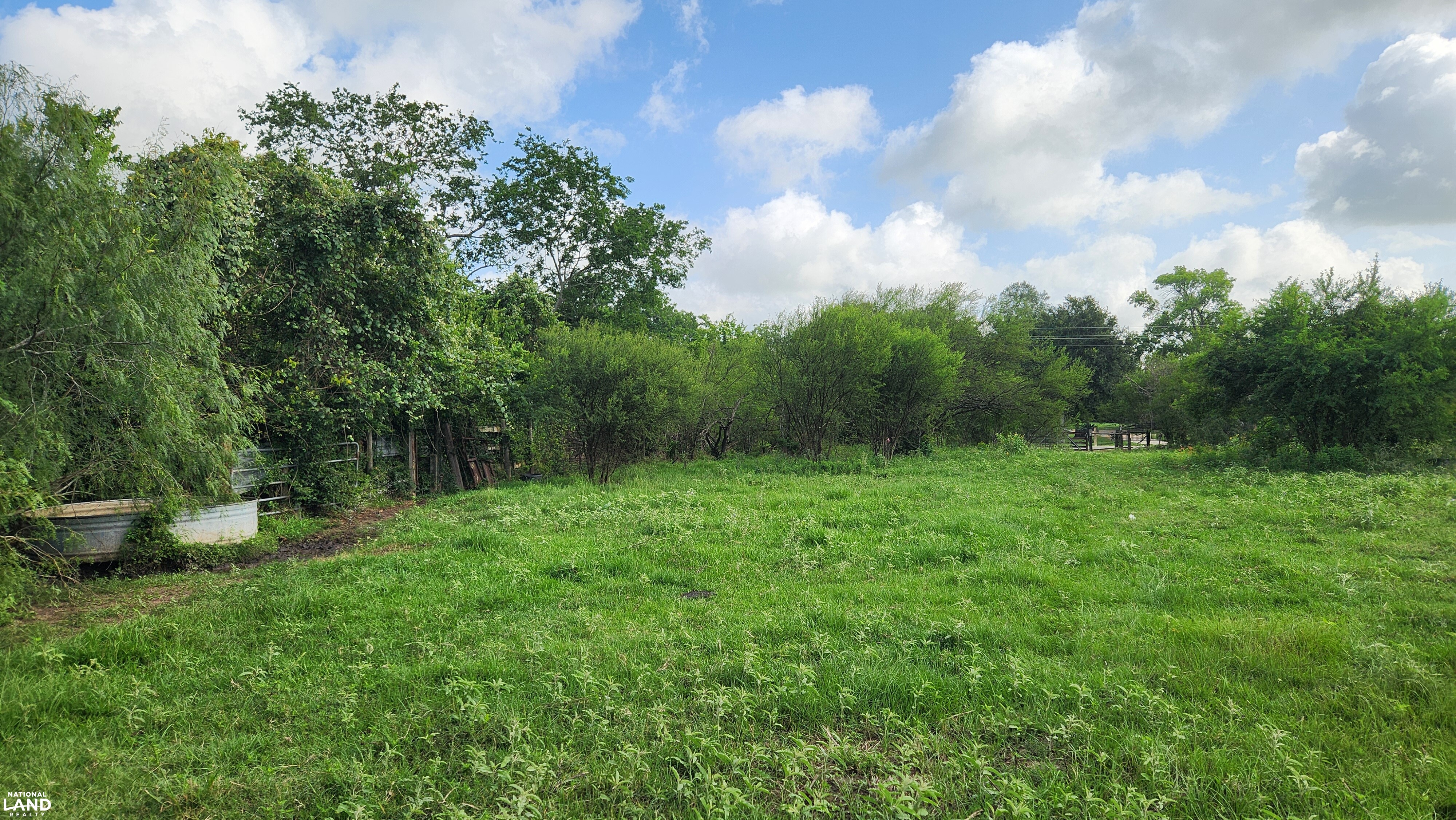 Secluded Unrestricted 55 +/- Acre Paradise in Waller County Texas in Waller County, TX (12 of 25)