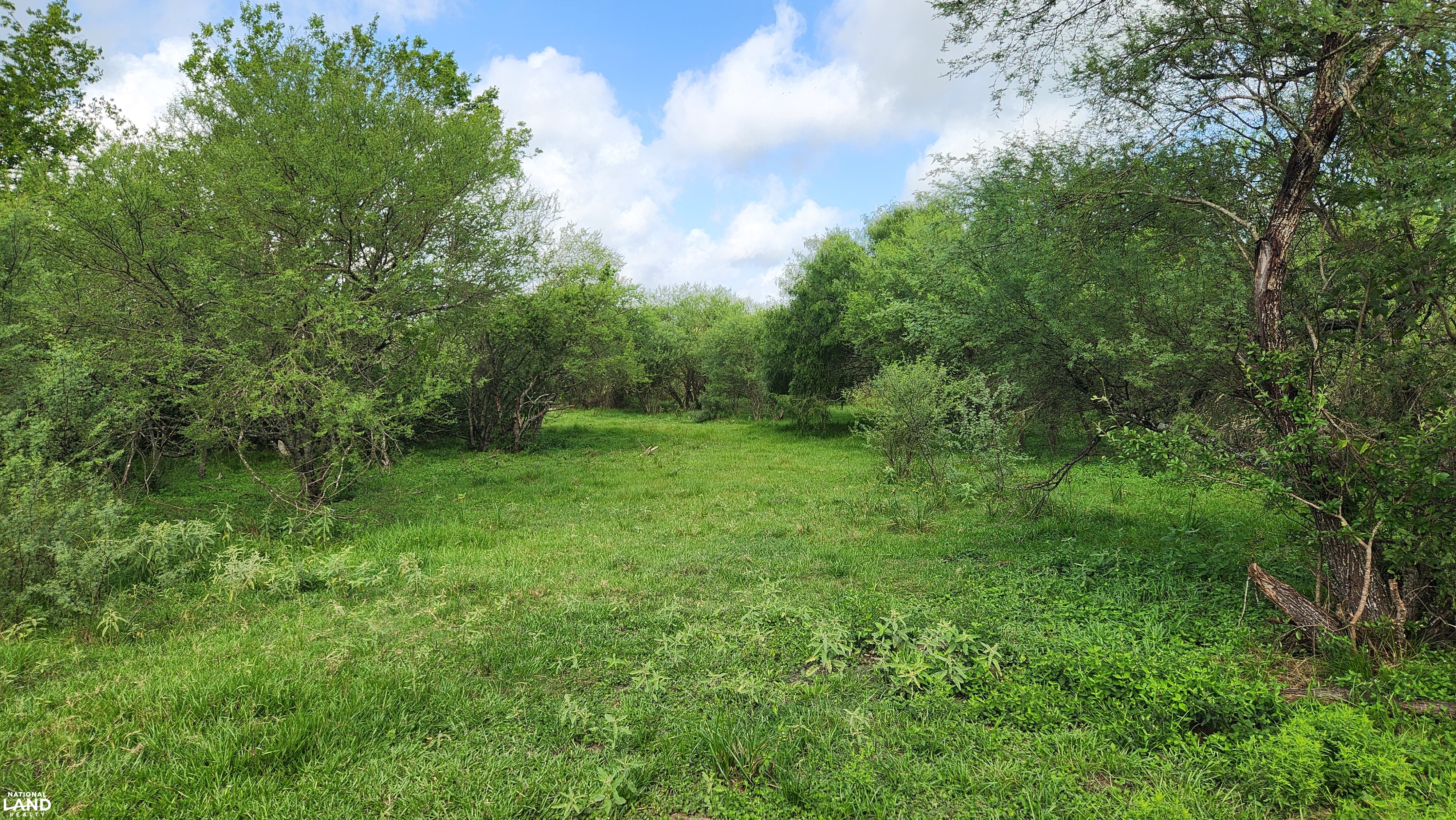 Secluded Unrestricted 55 +/- Acre Paradise in Waller County Texas in Waller County, TX (13 of 25)