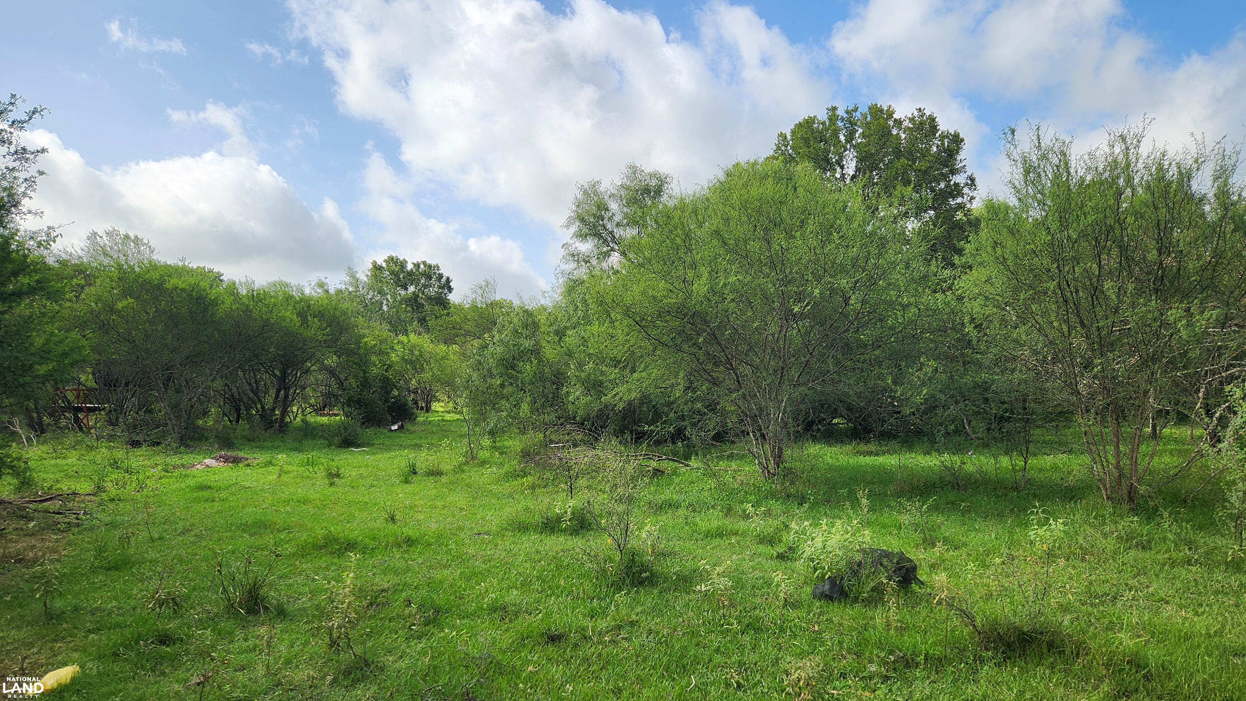Secluded Unrestricted 55 +/- Acre Paradise in Waller County Texas in Waller County, TX (14 of 25)