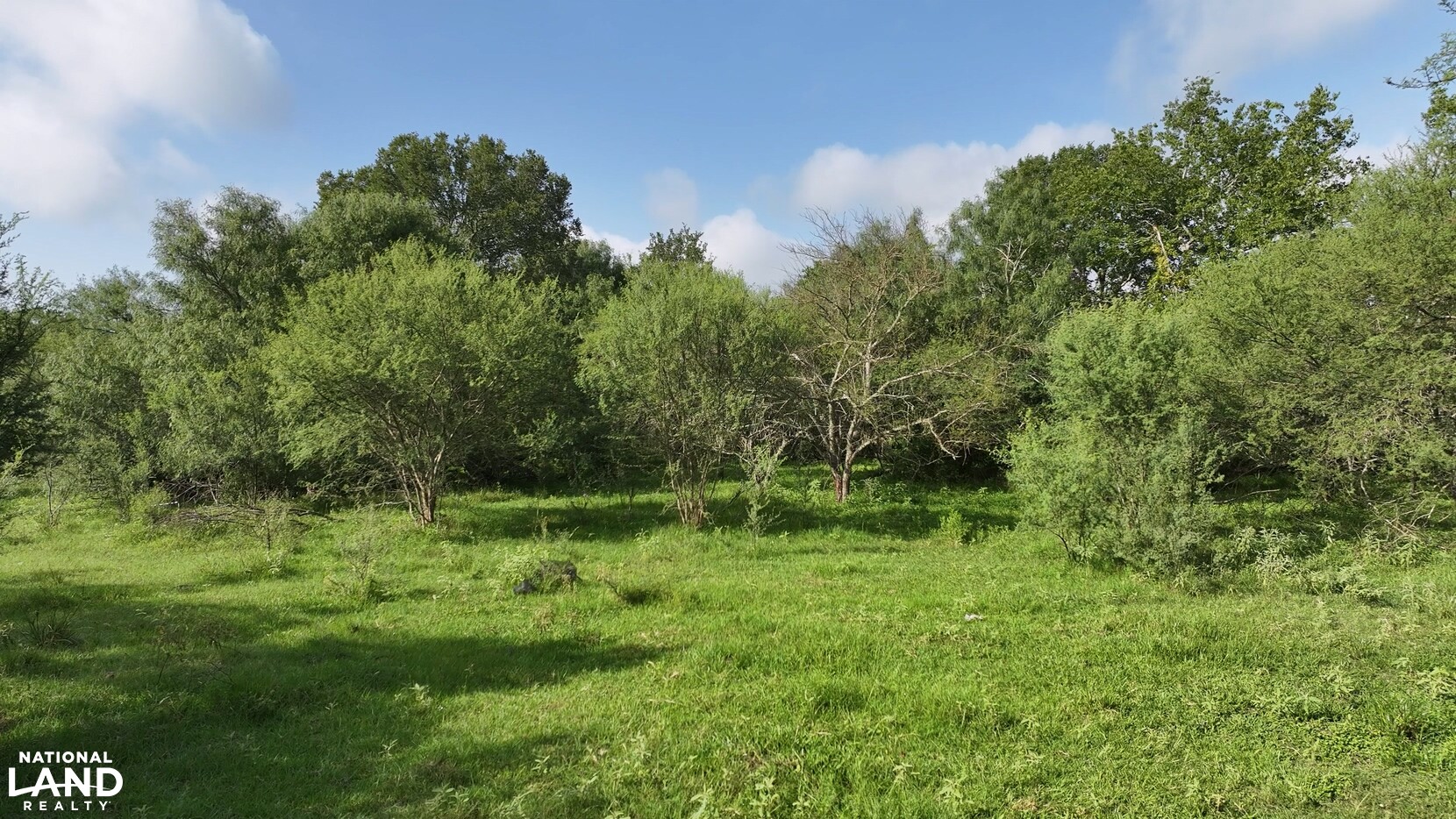 Secluded Unrestricted 55 +/- Acre Paradise in Waller County Texas in Waller County, TX (15 of 25)