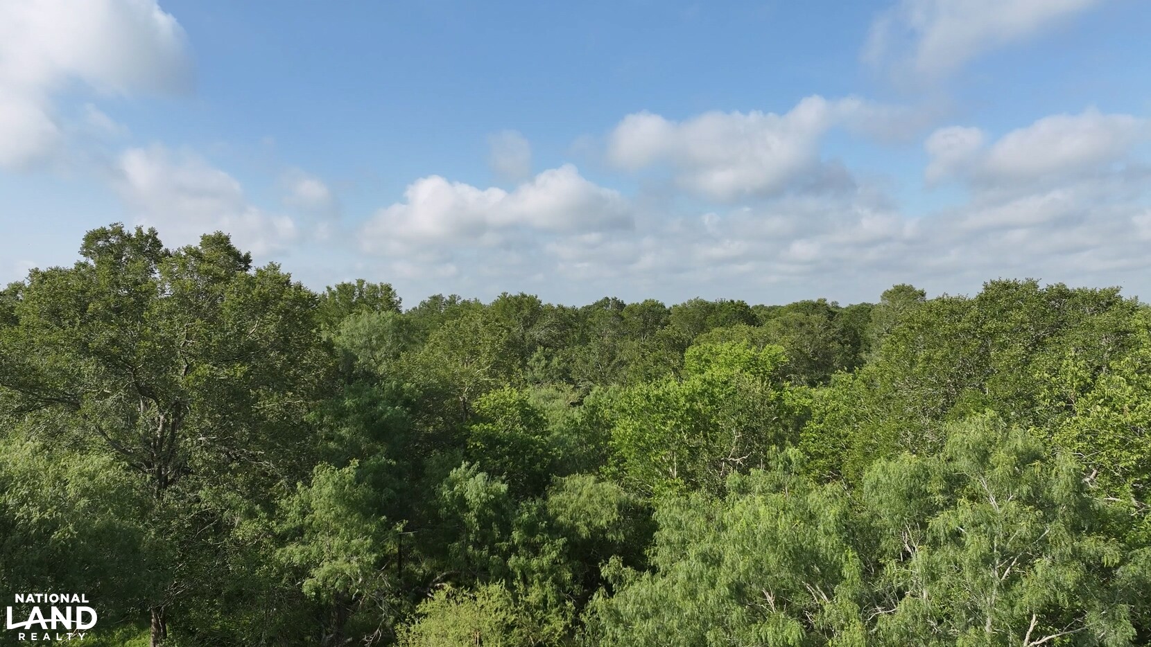 Secluded Unrestricted 55 +/- Acre Paradise in Waller County Texas in Waller County, TX (16 of 25)